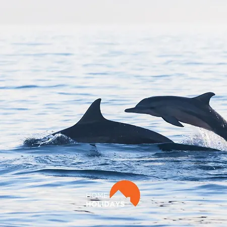 #112 Oura Flat By Holidays * Albufeira